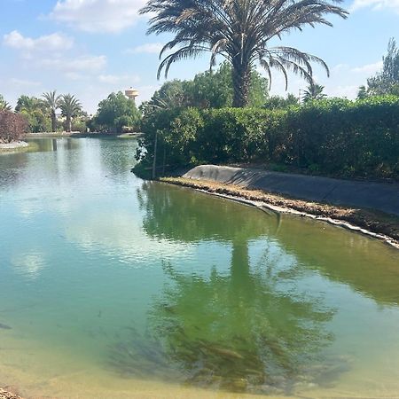 Villa Louisa Piscine Privee Sans Vis A Vis Dyar Shemsi 塔鲁丹特 外观 照片