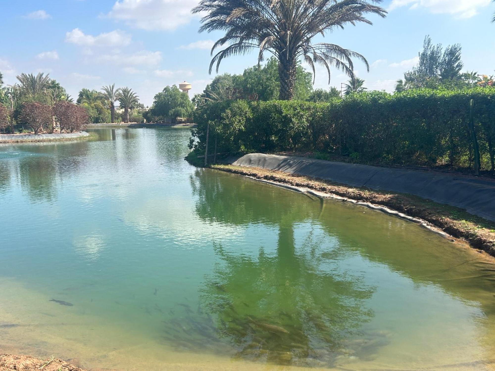 Villa Louisa Piscine Privee Sans Vis A Vis Dyar Shemsi 塔鲁丹特 外观 照片